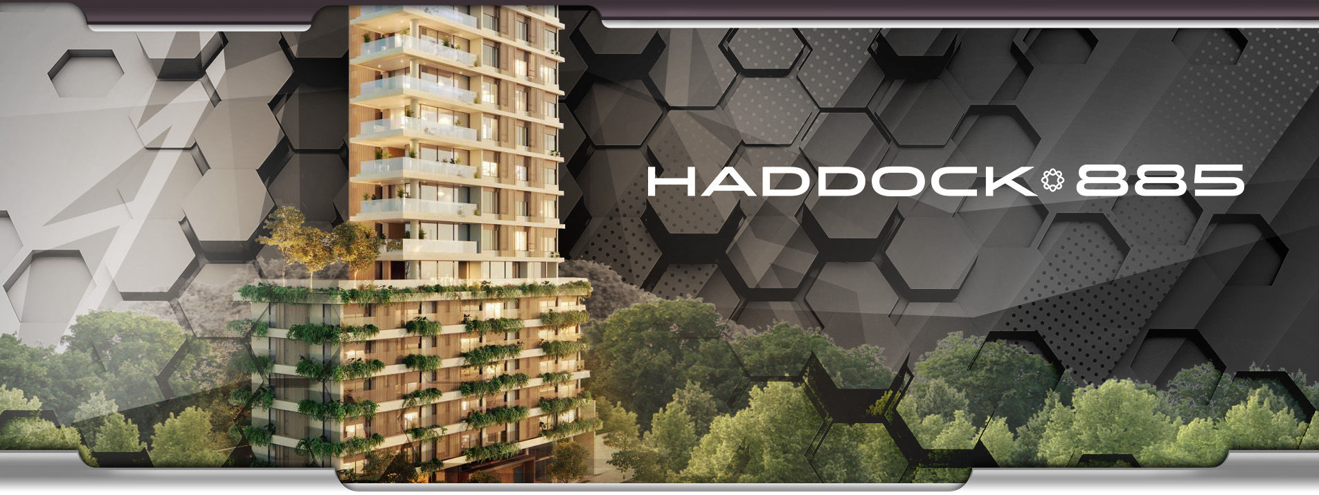 Haddock 885 - Topo
